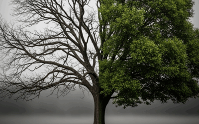 ¿La fe sin obras salva? Una verdad que pocos explican