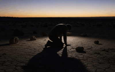 La debilidad humana y la misericordia que salva