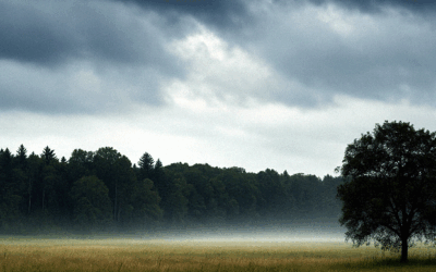 La necedad del corazón sin Dios