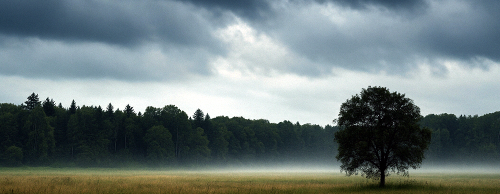 La necedad del corazón sin Dios