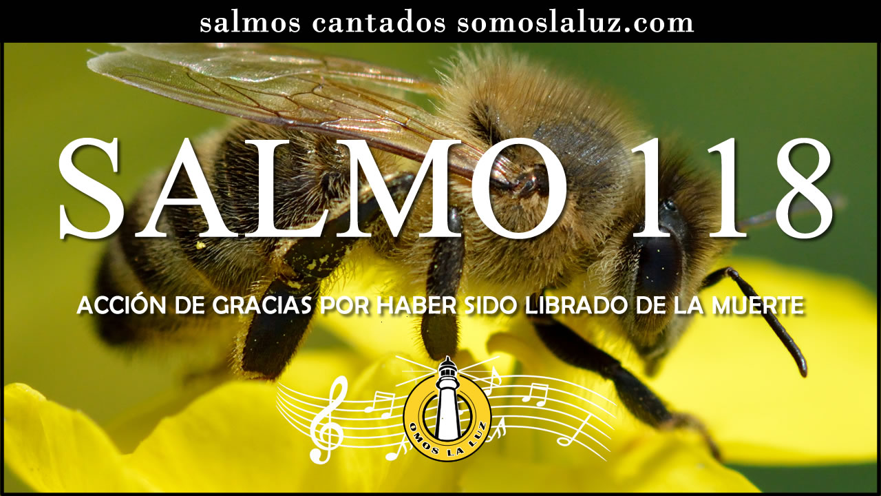 salmo 118 cantado